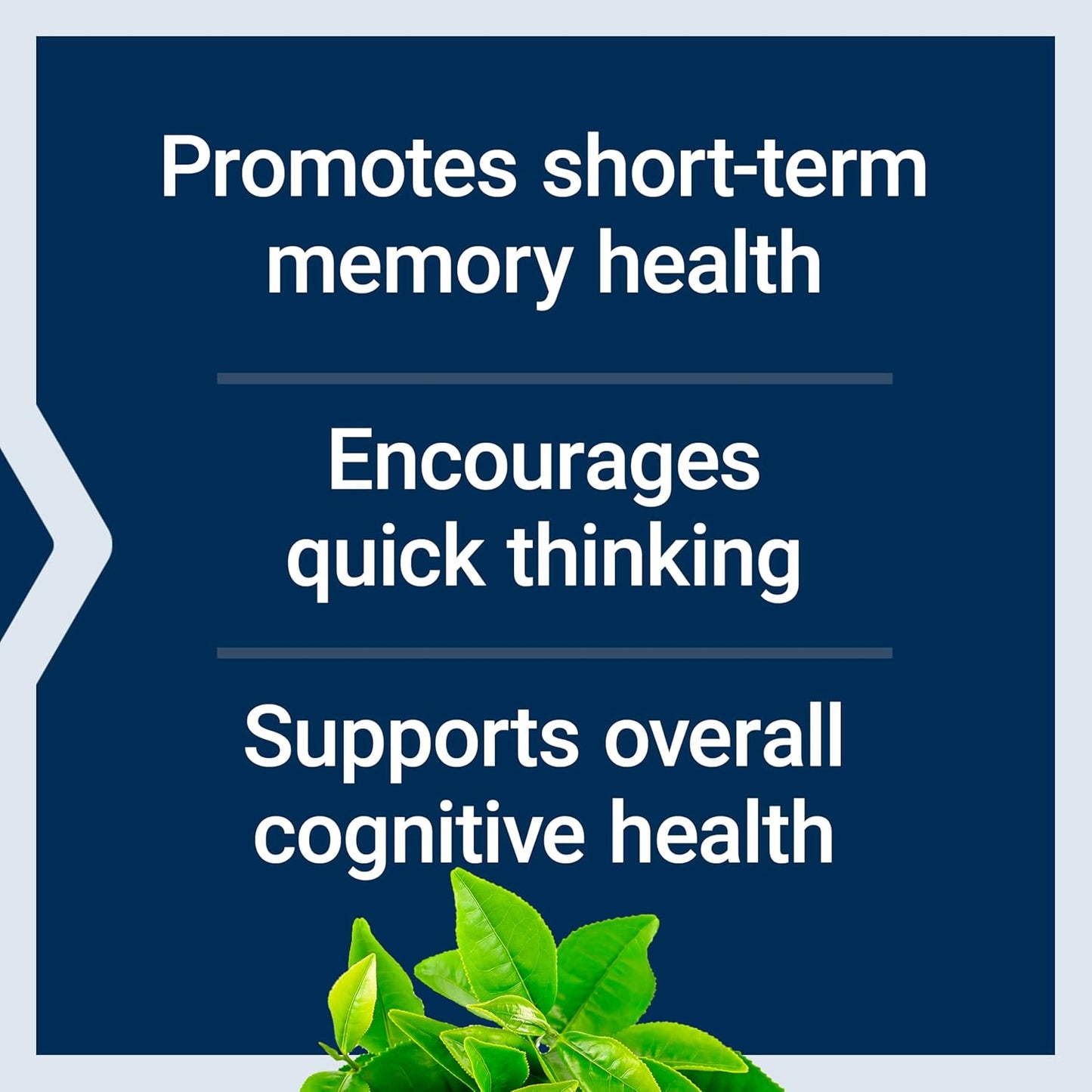 Neuro-Mag Magnesium L-Threonate Capsules – Memory & Brain Support