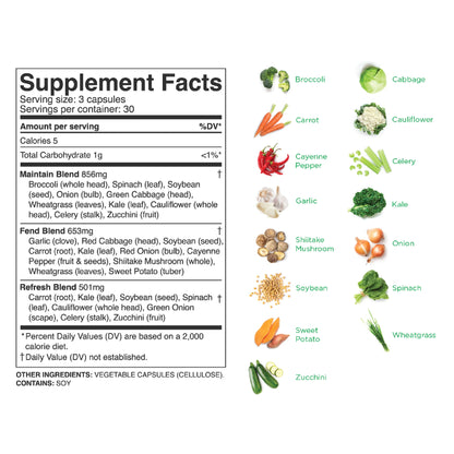 Fruits & Veggies Capsules – Whole Food Daily Greens & Fruits Supplement (90 Capsules)