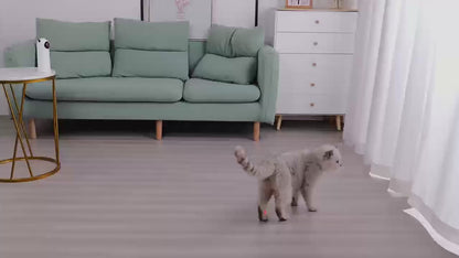 Automatic Laser Cat Toy for Indoor Cats